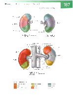 Sobotta  Atlas of Human Anatomy  Trunk, Viscera,Lower Limb Volume2 2006, page 194